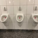 sticker-pissoir